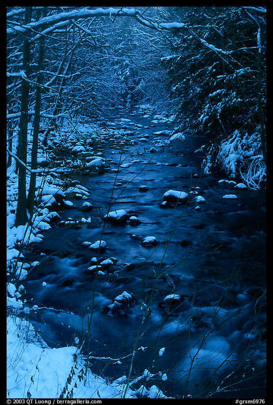 Creek and snowy trees in winter, Tennessee. Great Smoky Mountains National Park, USA.