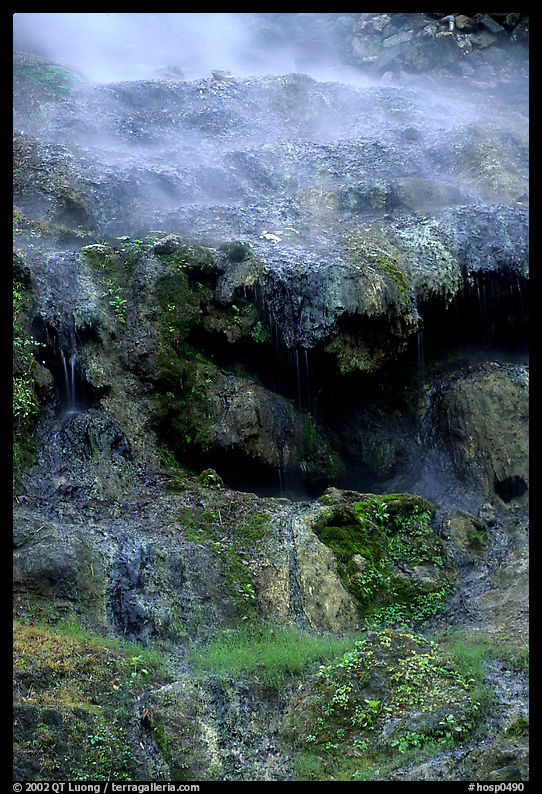 Thermal springs flowing over tufa terrace. Hot Springs  National Park, Arkansas, USA.