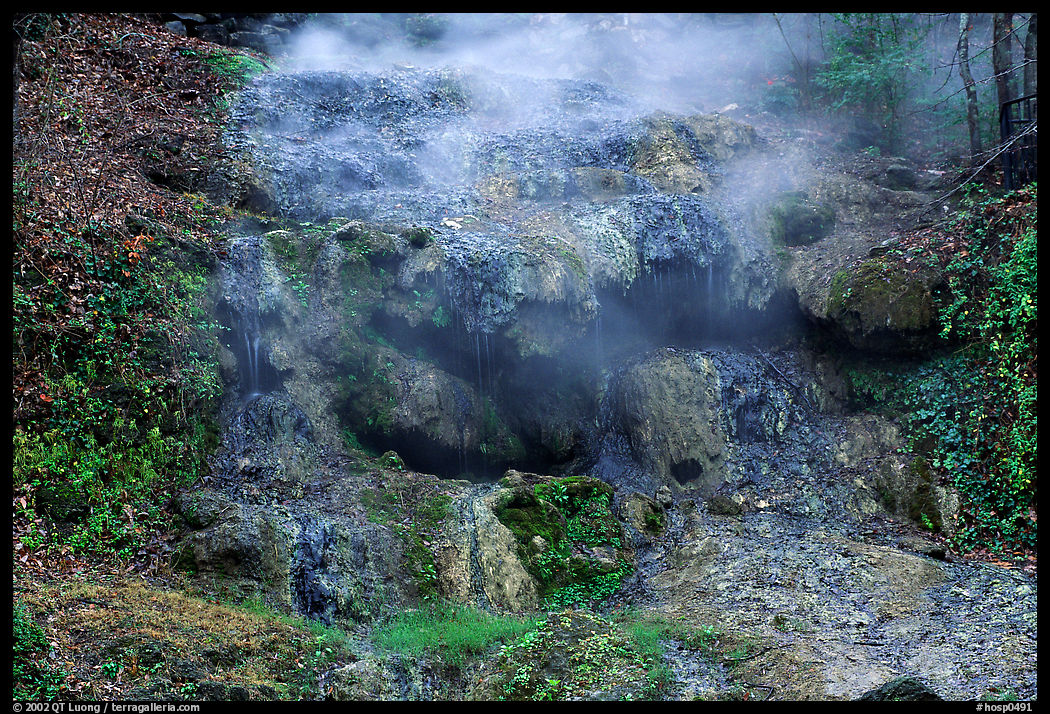 Thermal spring water flowing over tufa terrace. Hot Springs  National Park, Arkansas, USA.