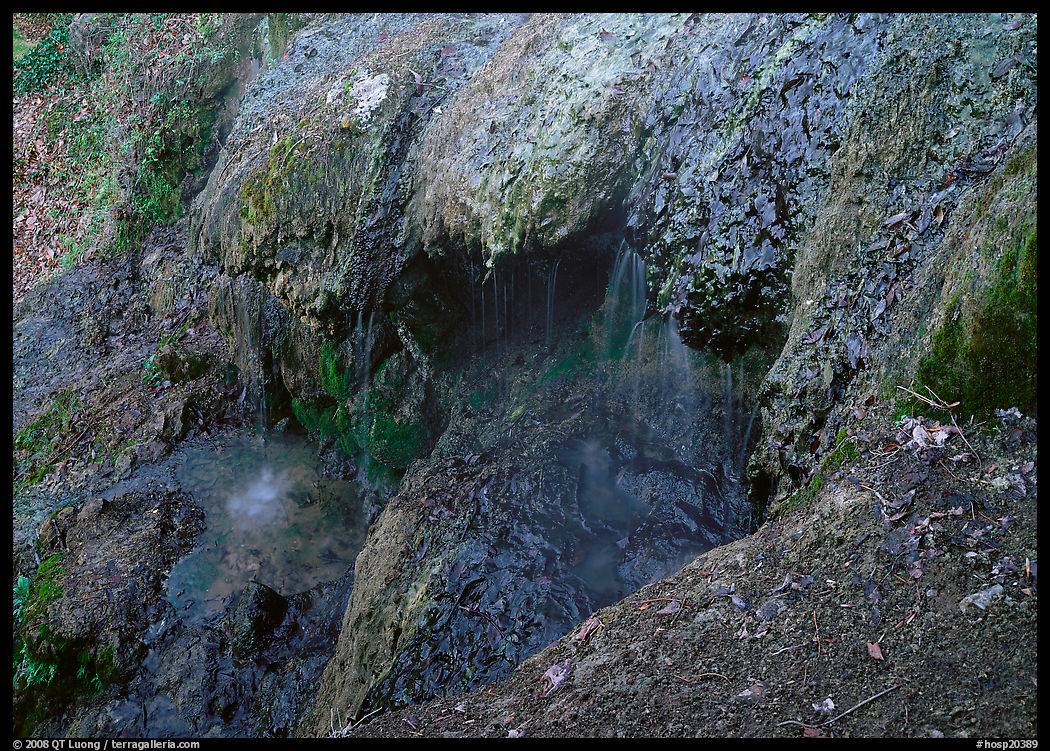 Cascade over tufa terrace. Hot Springs National Park