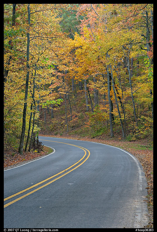 Road curve and fall colors on West Mountain. Hot Springs  National Park, Arkansas, USA.