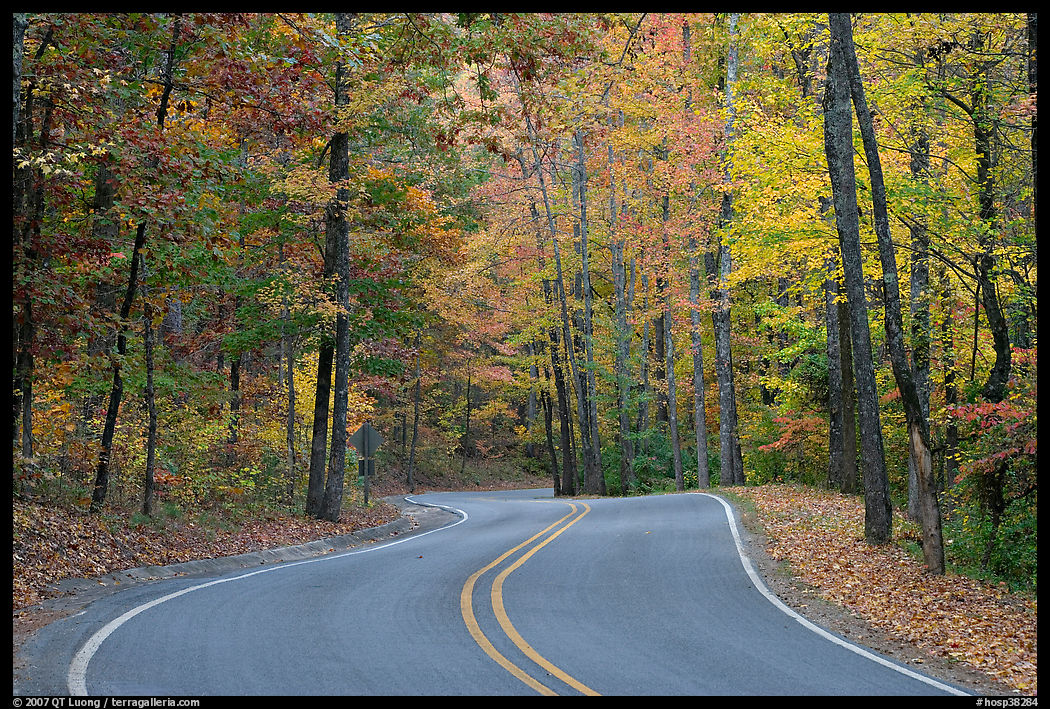 Windy road and fall colors on West Mountain. Hot Springs  National Park, Arkansas, USA.
