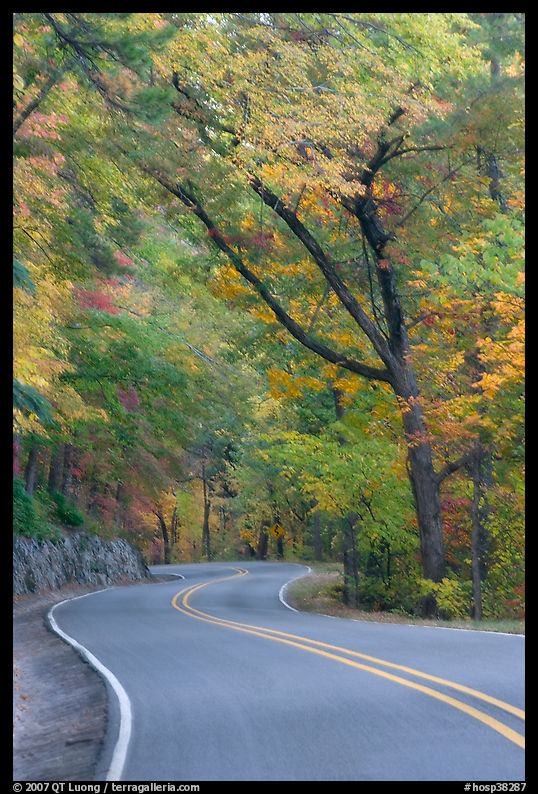 Rood, curve, fall colors, West Mountain. Hot Springs  National Park, Arkansas, USA.