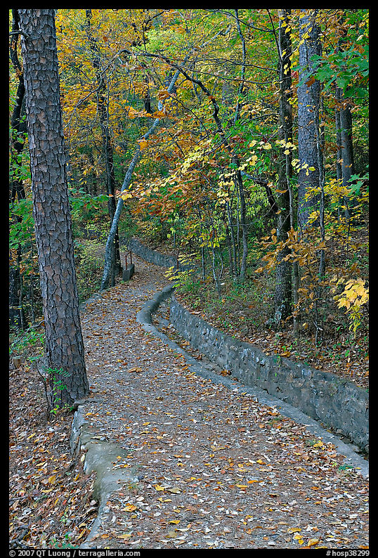Built trail and fall colors, Hot Spring Mountain. Hot Springs  National Park, Arkansas, USA.