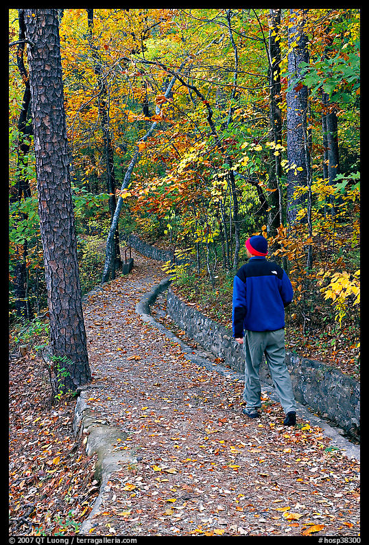 Hiker on trail amongst fall colors, Hot Spring Mountain. Hot Springs  National Park, Arkansas, USA.