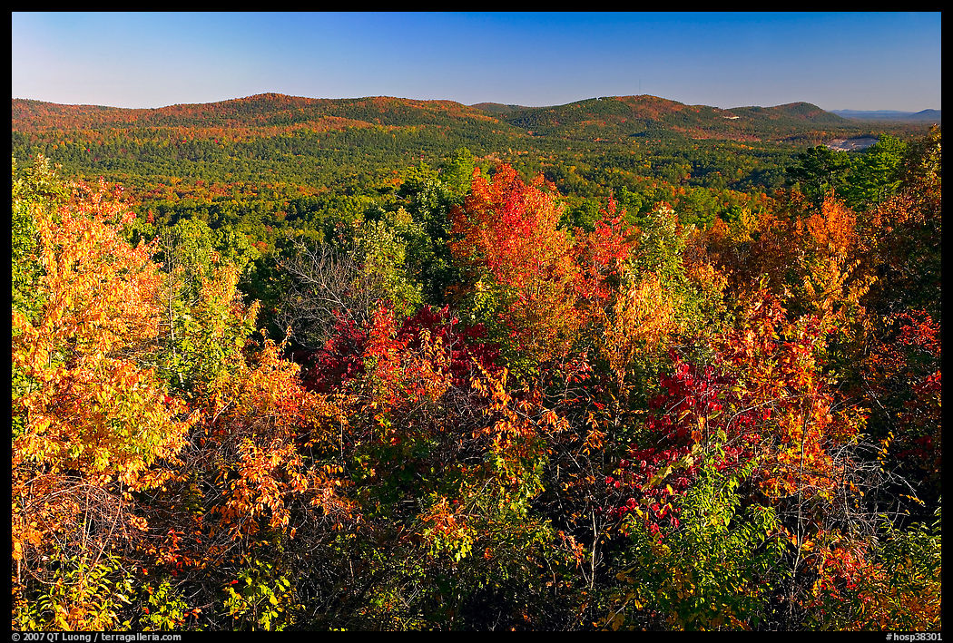Vista with trees in fall colors, North Mountain, early morning. Hot Springs  National Park, Arkansas, USA.