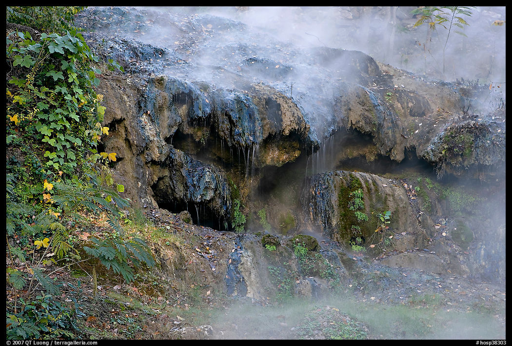 Steam and tufa terrace. Hot Springs  National Park, Arkansas, USA.
