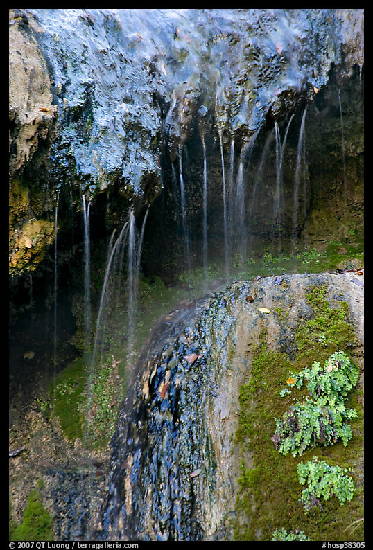 Hot springs water flowing over tufa terrace. Hot Springs  National Park, Arkansas, USA.