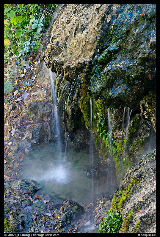Water from hot springs flowing over tufa rock. Hot Springs  National Park, Arkansas, USA.