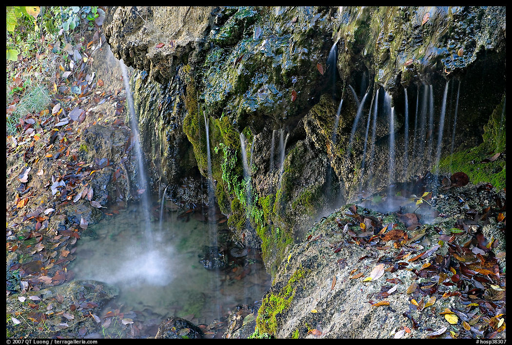 Hot water from springs flowing over tufa rock. Hot Springs  National Park, Arkansas, USA.