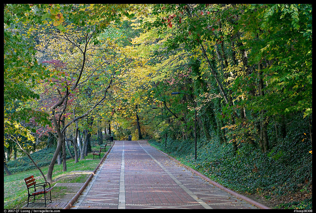Grand Promenade in the fall. Hot Springs  National Park, Arkansas, USA.
