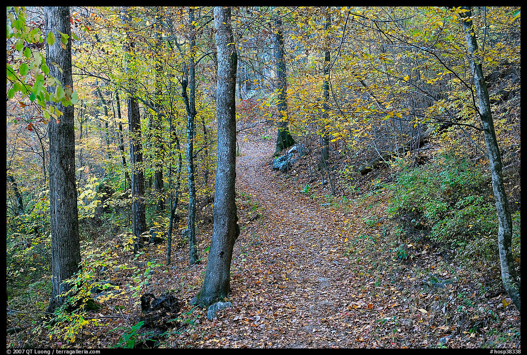 Trail and trees in fall colors, Gulpha Gorge. Hot Springs  National Park, Arkansas, USA.