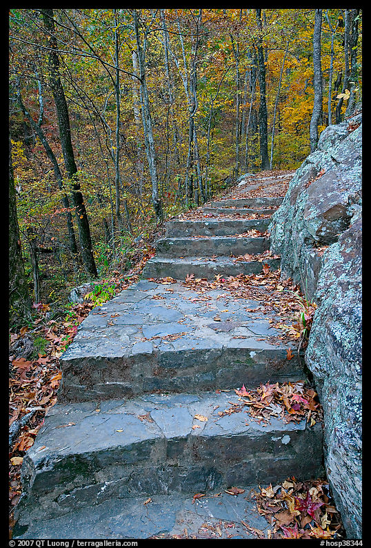 Stone steps on trail in forest with fall foliage, Gulpha Gorge. Hot Springs  National Park, Arkansas, USA.