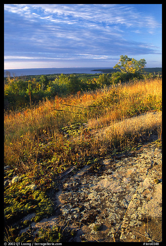Grasses and Lake Superior seen  from  Greenstone ridge, morning. Isle Royale National Park, Michigan, USA.