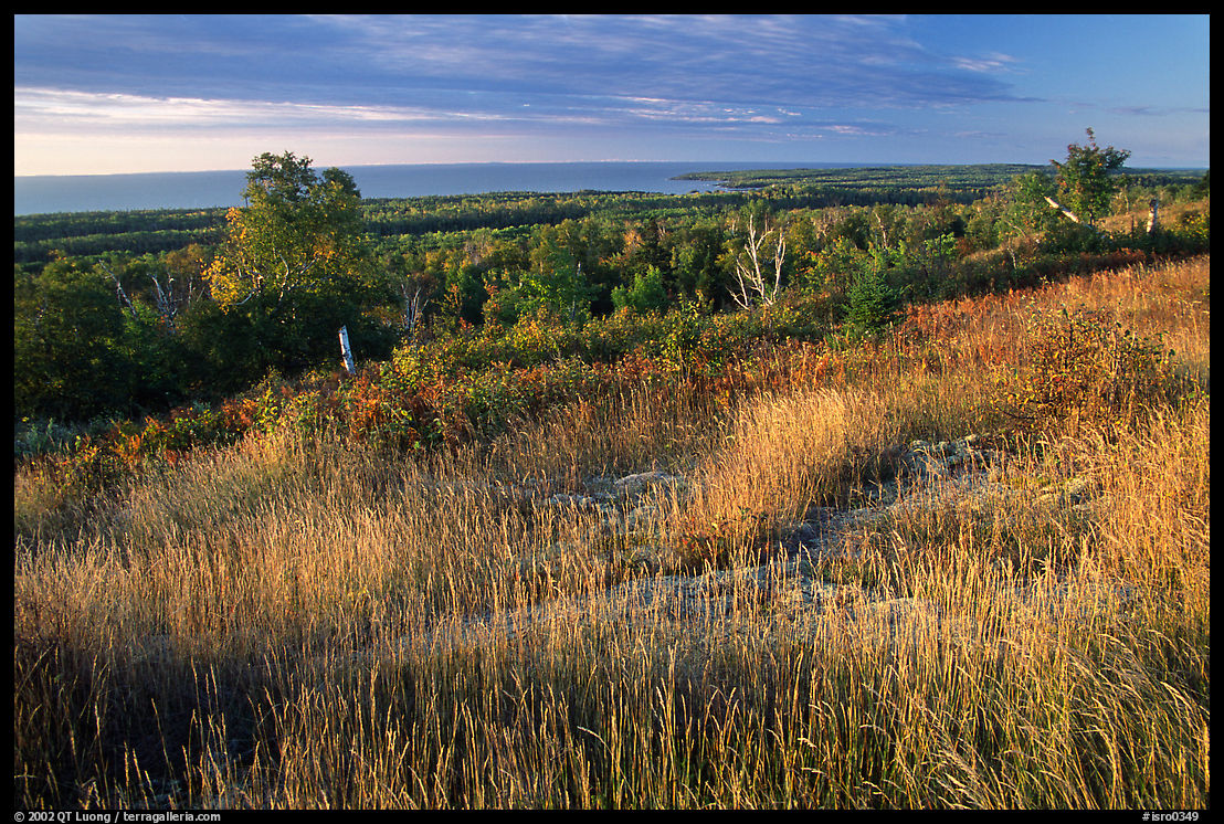 Grasses, distant forest and Lake Superior from  Greenstone ridge. Isle Royale National Park, Michigan, USA.