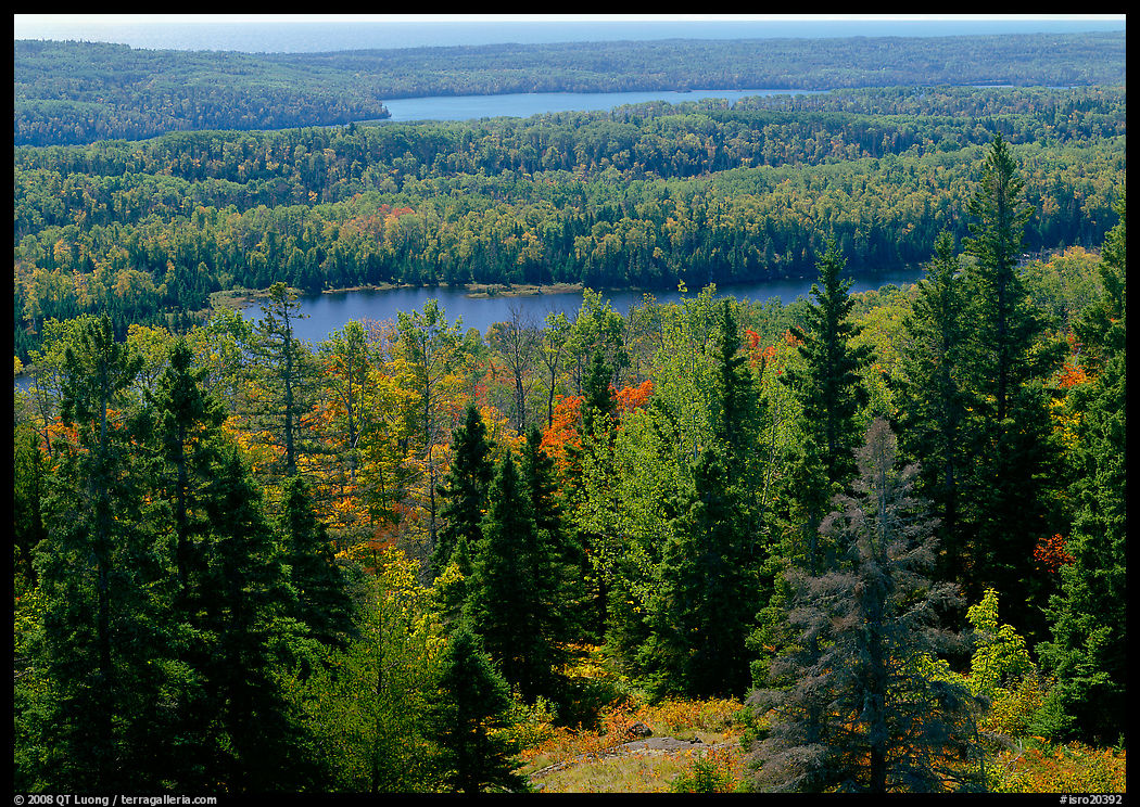 Lakes and forest. Isle Royale National Park, Michigan, USA.