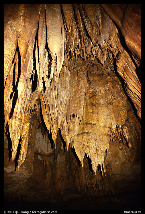 Stalactites in the Frozen Niagara section. Mammoth Cave National Park, Kentucky, USA.