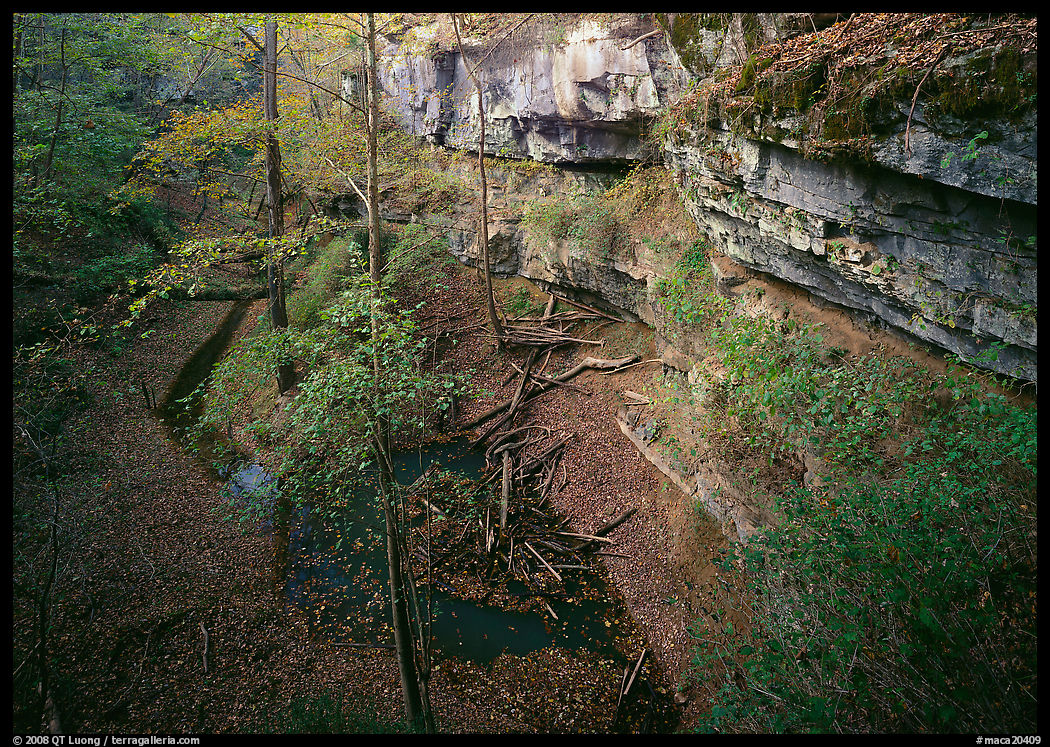 Limestone cliffs and karstic depression in autumn. Mammoth Cave National Park, Kentucky, USA.