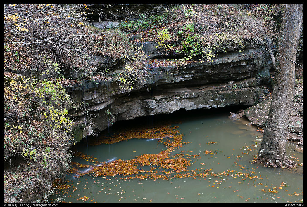 Styx underground river resurgence. Mammoth Cave National Park, Kentucky, USA.