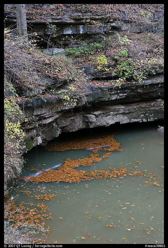 Styx river spring resurgence. Mammoth Cave National Park, Kentucky, USA.