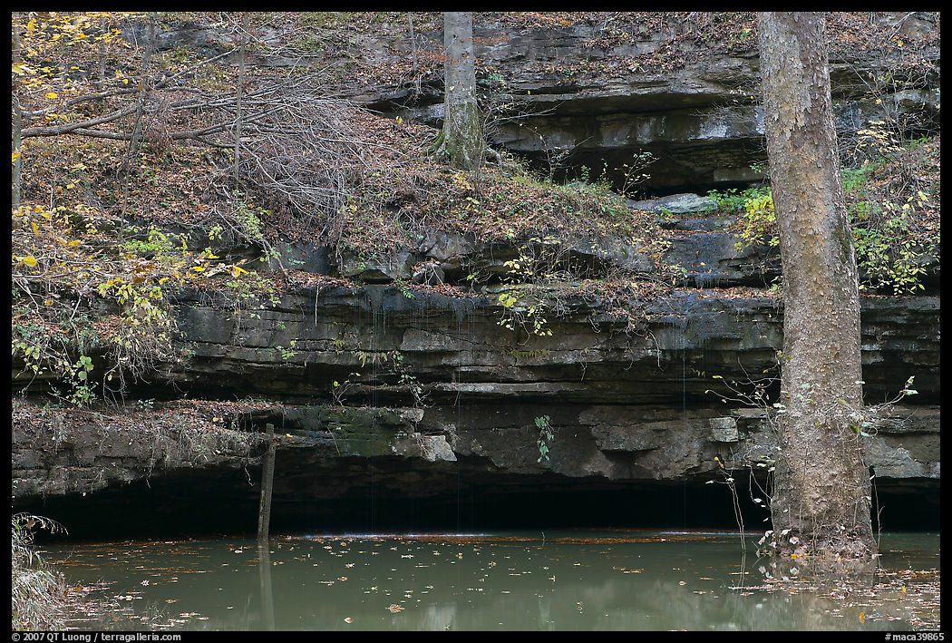 Limestone ledges, trees, and Styx spring. Mammoth Cave National Park, Kentucky, USA.