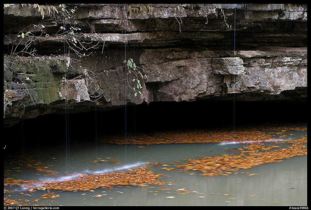 Styx resurgence and limestone ledges. Mammoth Cave National Park, Kentucky, USA.