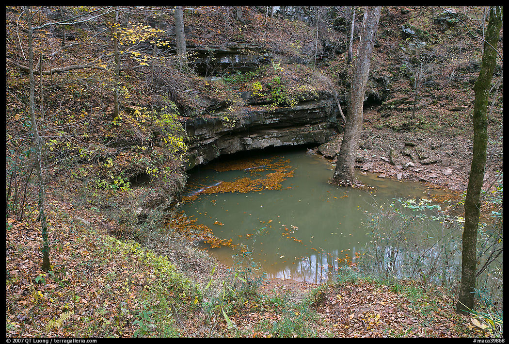 Styx river resurgence in autumn. Mammoth Cave National Park, Kentucky, USA.