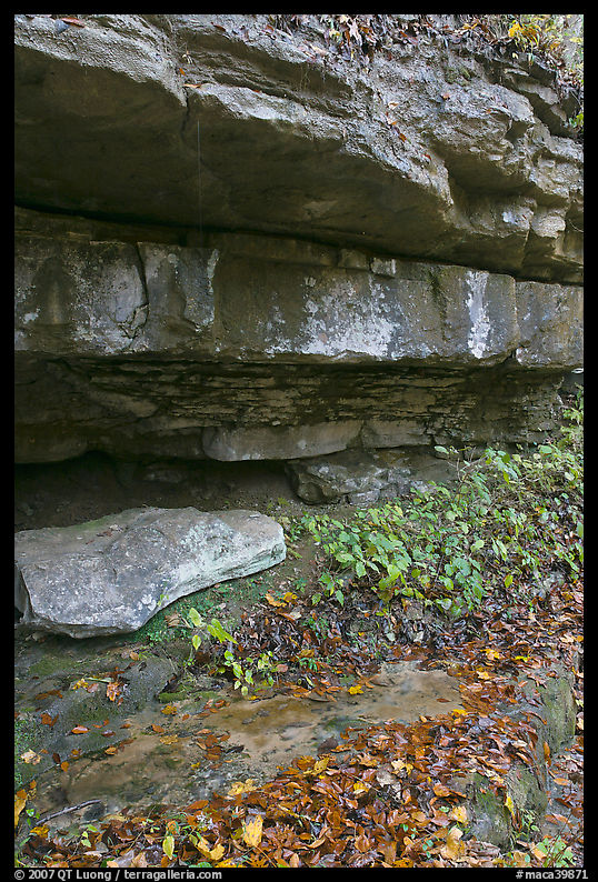 Limestone slabs and overhangs. Mammoth Cave National Park, Kentucky, USA.