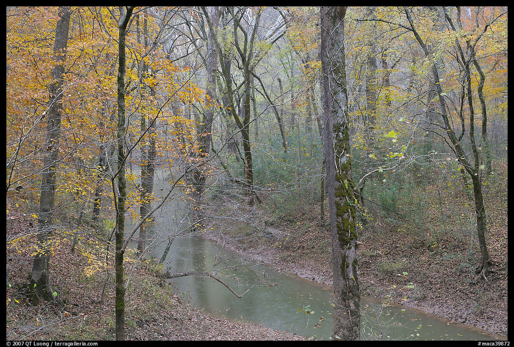 Styx spring and forest in autumn foliage during rain. Mammoth Cave National Park, Kentucky, USA.