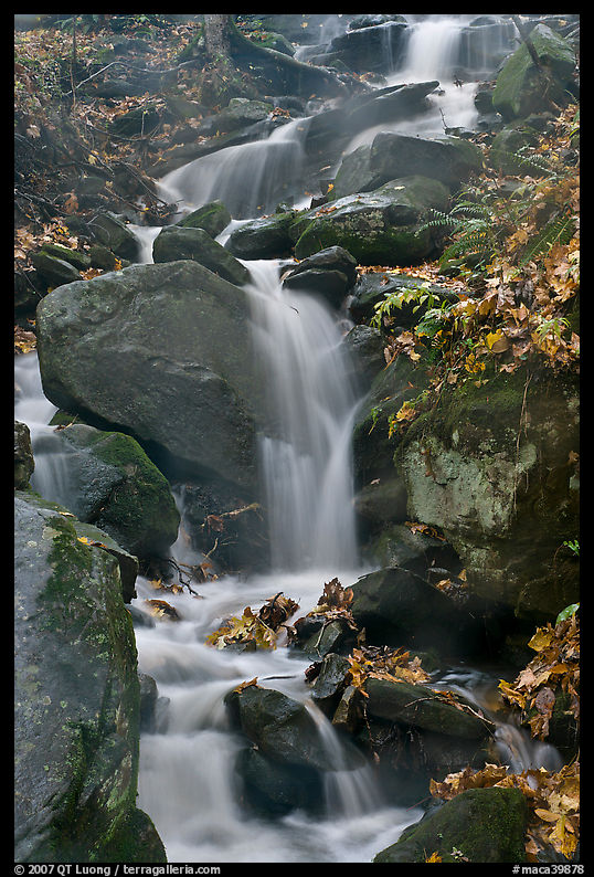 Cascading stream. Mammoth Cave National Park, Kentucky, USA.