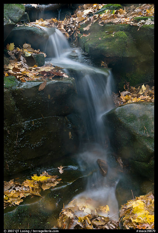 Stream, boulders, and fallen leaves. Mammoth Cave National Park, Kentucky, USA.