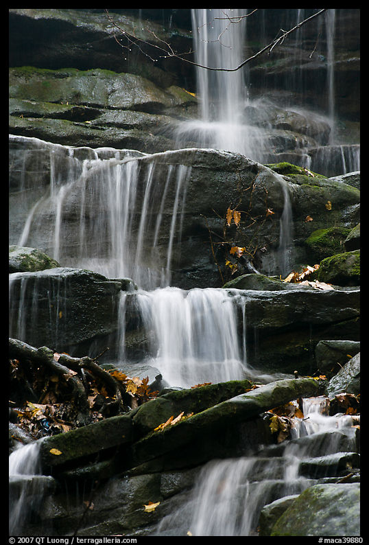 Stream cascading over limestone rocks. Mammoth Cave National Park, Kentucky, USA.