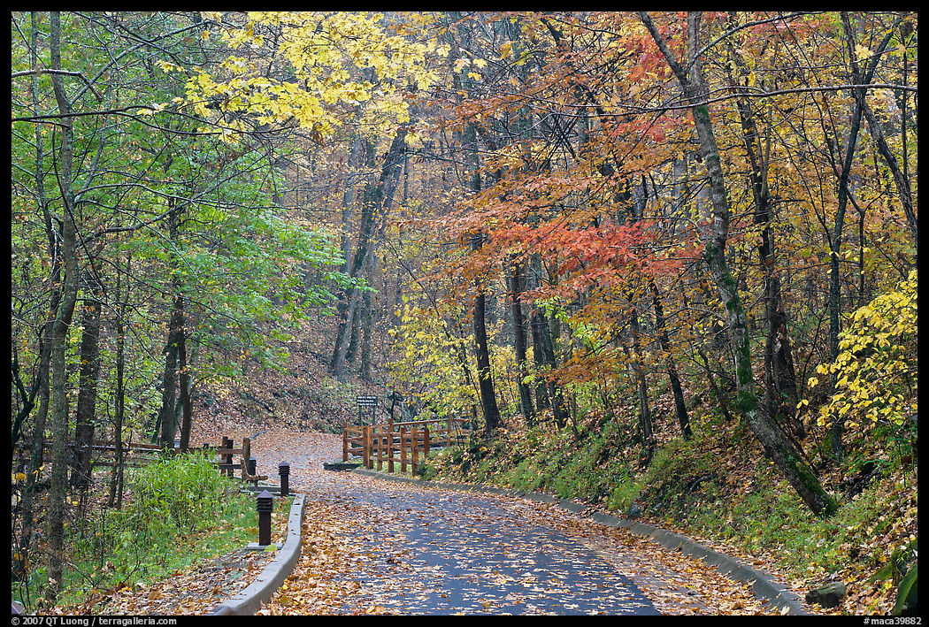 Trail leading to historic cave entrance in the fall. Mammoth Cave National Park, Kentucky, USA.