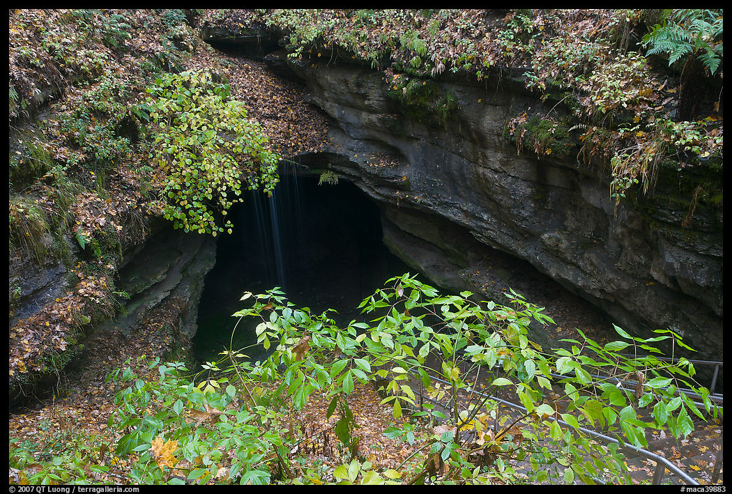 Entrance shaft. Mammoth Cave National Park, Kentucky, USA.