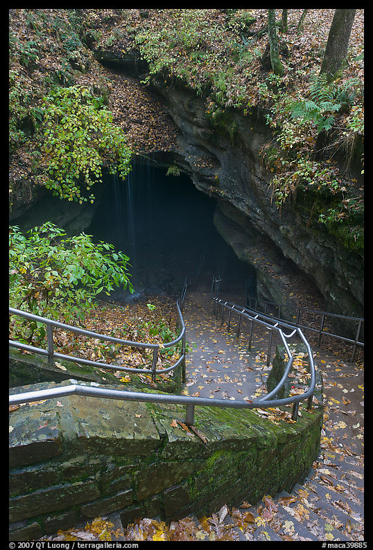 Steps and railing leading down to historical cave entrance. Mammoth Cave National Park, Kentucky, USA.