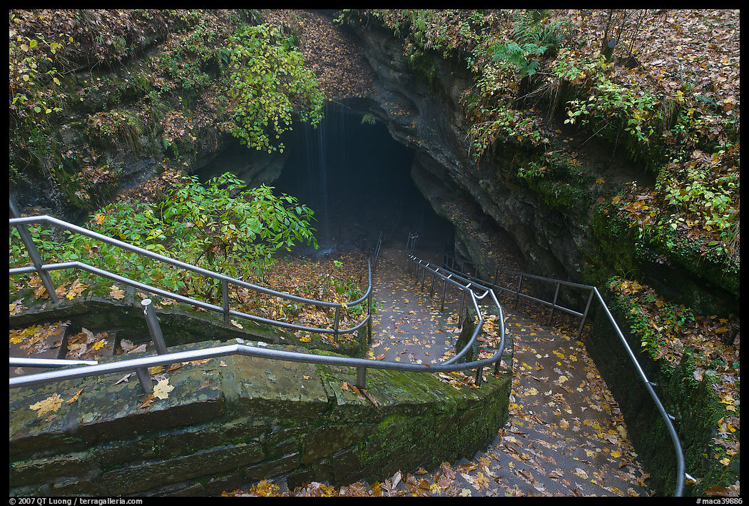 Steps and handrails leading down to cave. Mammoth Cave National Park, Kentucky, USA.