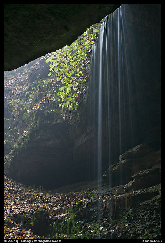Ephemeral waterfall seen from inside cave. Mammoth Cave National Park, Kentucky, USA.