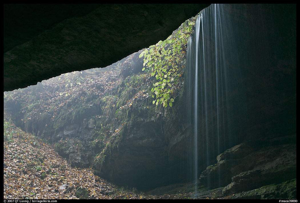 Rain-fed waterfall seen from inside cave. Mammoth Cave National Park, Kentucky, USA.