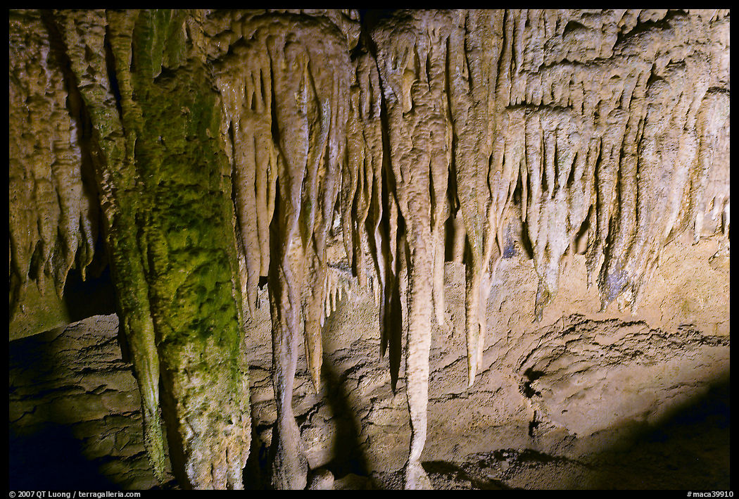 Stalactites detail, Frozen Niagara. Mammoth Cave National Park, Kentucky, USA.
