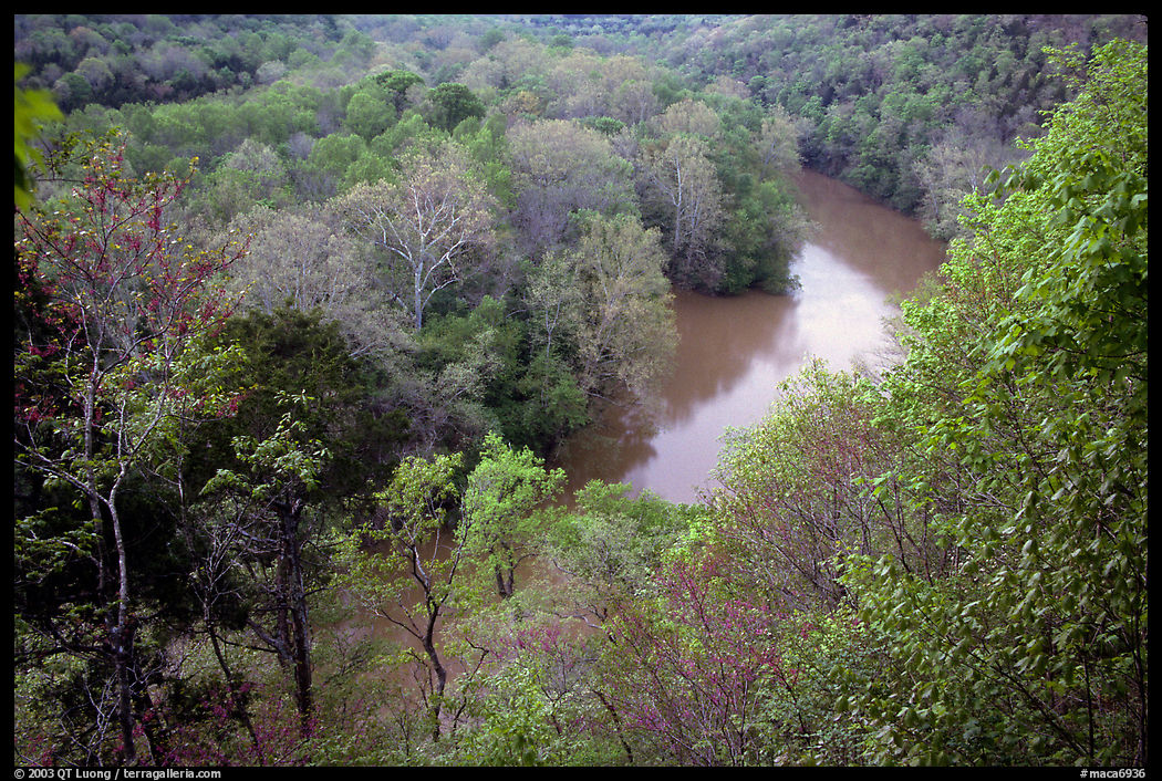 Green River seen from bluff in springtime. Mammoth Cave National Park