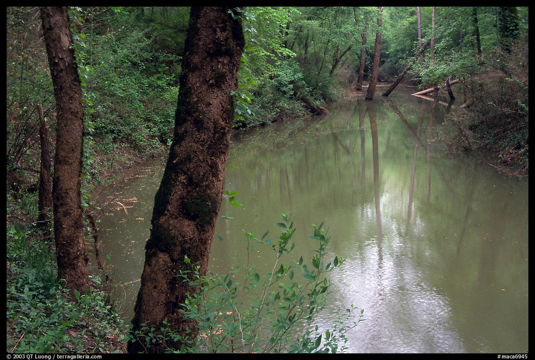 Echo River Spring. Mammoth Cave National Park, Kentucky, USA.