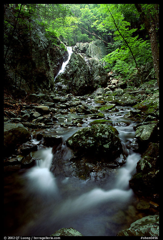 Falls of the Rose river. Shenandoah National Park, Virginia, USA.