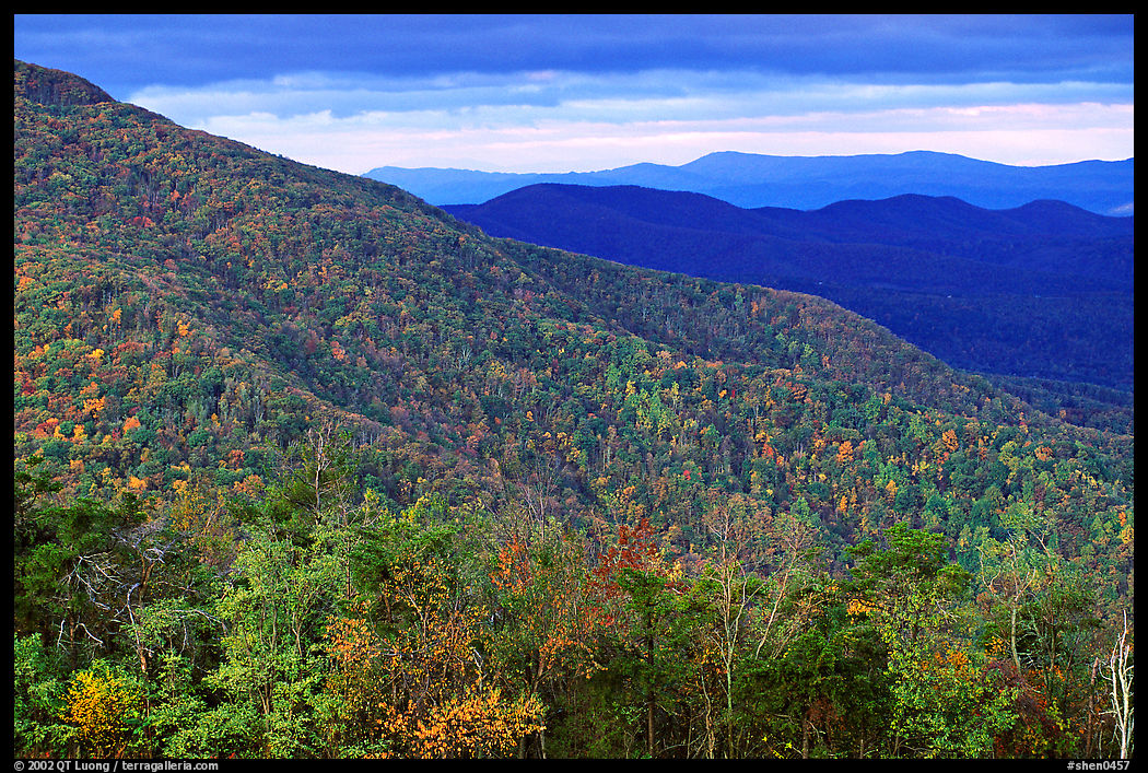 Hillsides in autumn. Shenandoah National Park, Virginia, USA.