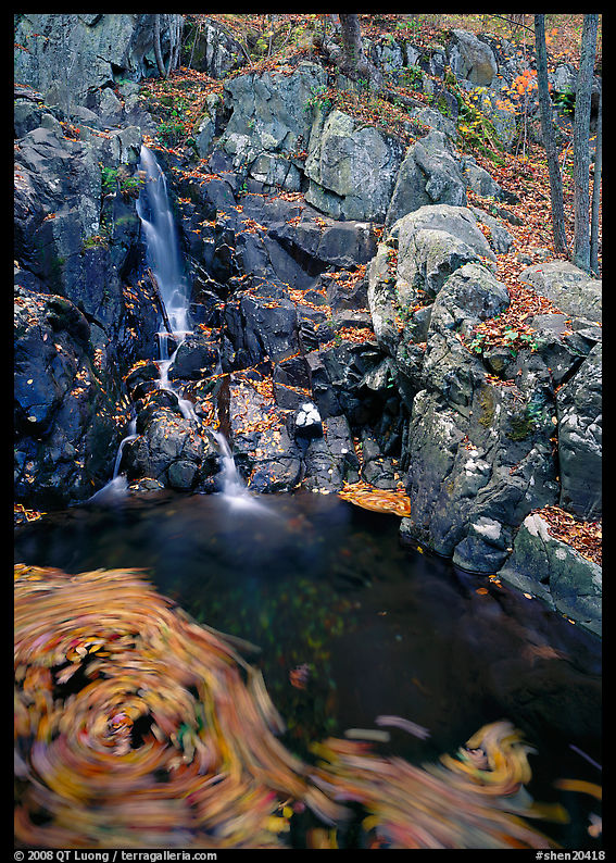 Cascade and circle of fallen leaves in motion. Shenandoah National Park