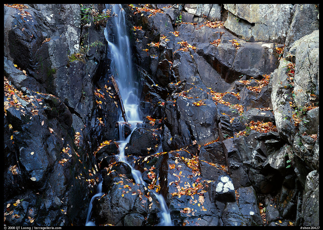 Stream cascading over dark rock in autumn. Shenandoah National Park, Virginia, USA.