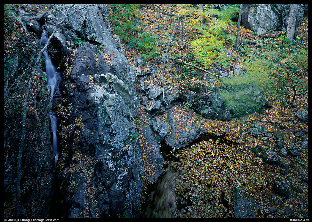Waterfall and cliff from above. Shenandoah National Park
