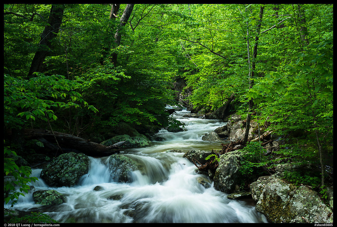 Photographing Waterfalls In Whiteoak Canyon The Scenic Gem Of Shenandoah National Park The Terra Galleria Blog Qt Luong