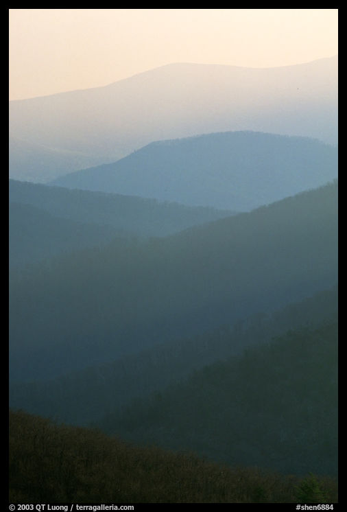 Receding ridges seen from Little Stony Man, sunrise. Shenandoah National Park