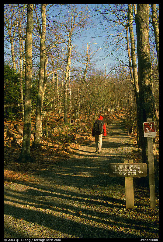 Backpacker on the Appalachian Trail. Shenandoah National Park, Virginia, USA.