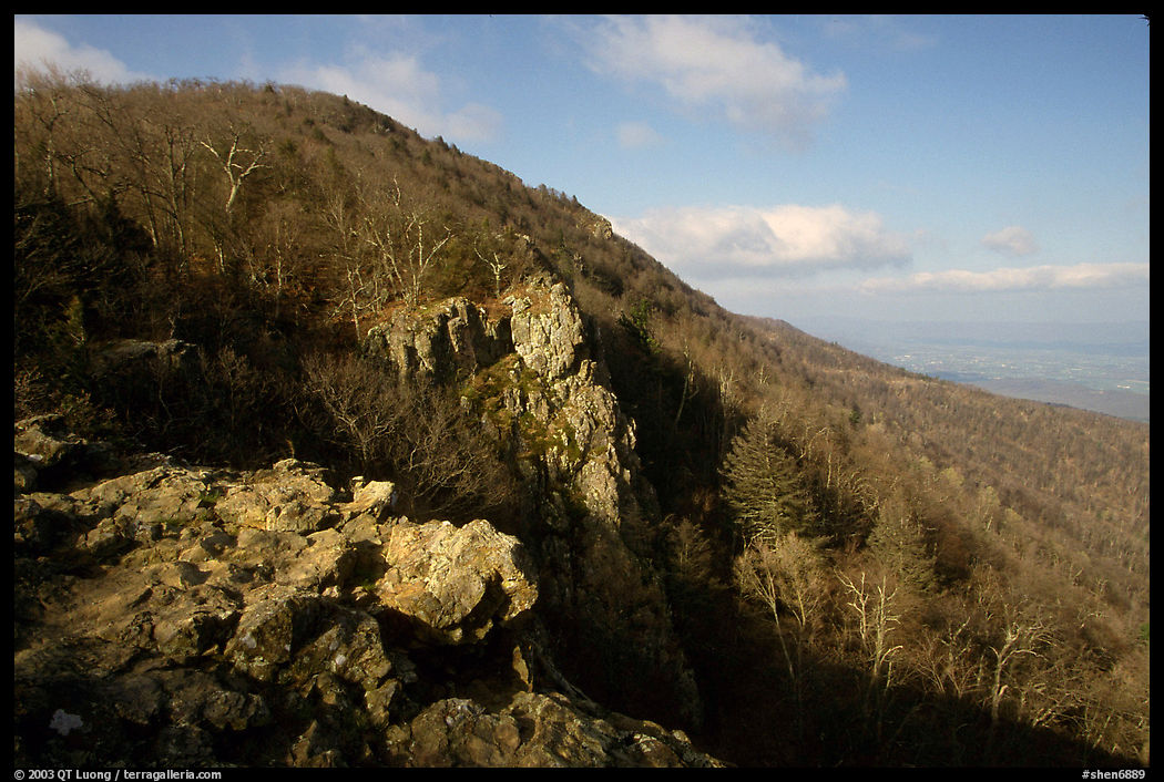 Rocky outcrop, Little Stony Man, early morning. Shenandoah National Park, Virginia, USA.